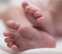 /_catalogs/masterpage/assets/images/Baby_03Physical.jpg